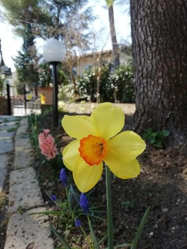 Outdoor Pictures 9