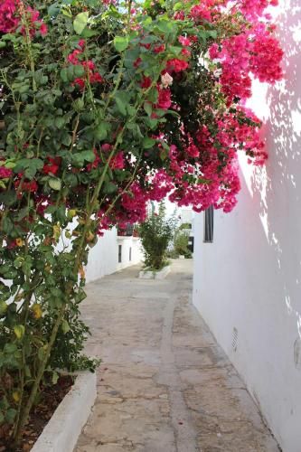 Outdoor Pictures 24