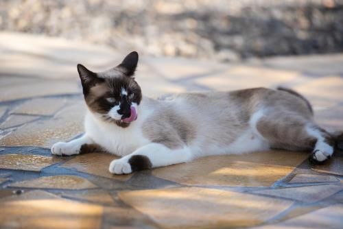 Outdoor Pictures 22