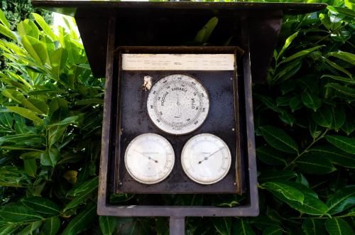 Outdoor Pictures 10