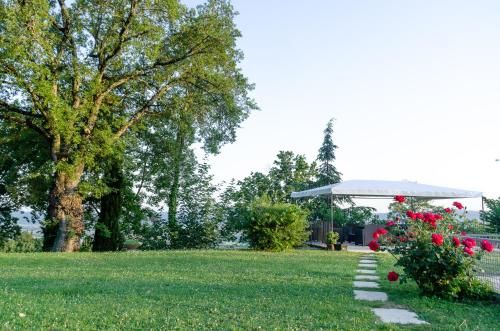 Outdoor Pictures 12
