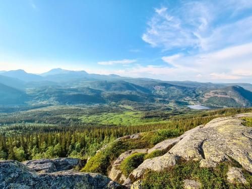 Outdoor Pictures 20