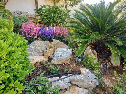 Outdoor Pictures 8