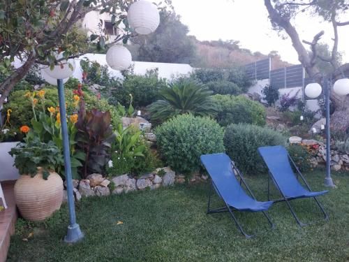 Outdoor Pictures 9