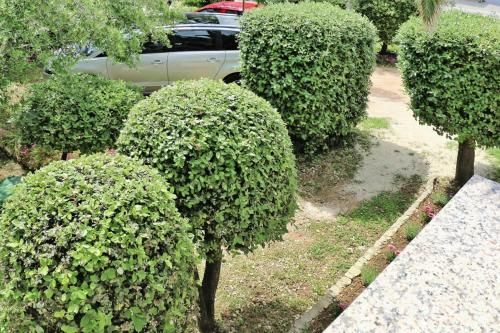 Outdoor Pictures 17