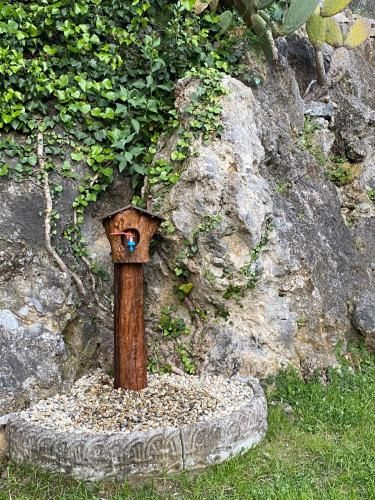 Outdoor Pictures 9