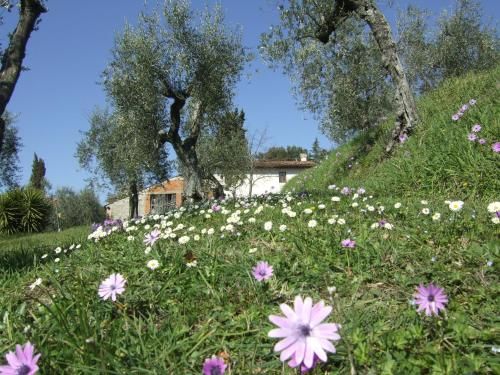 Outdoor Pictures 21