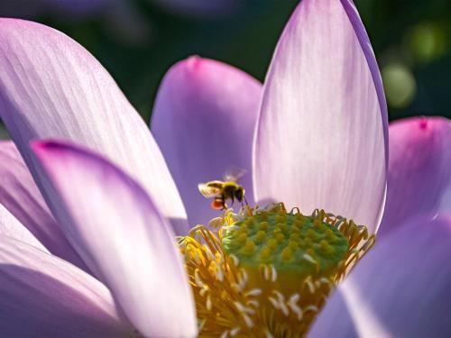 Outdoor Pictures 20