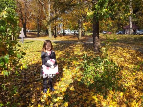Outdoor Pictures 16