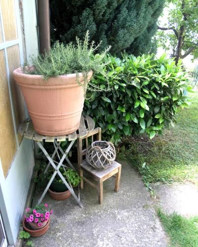 Outdoor Pictures 10