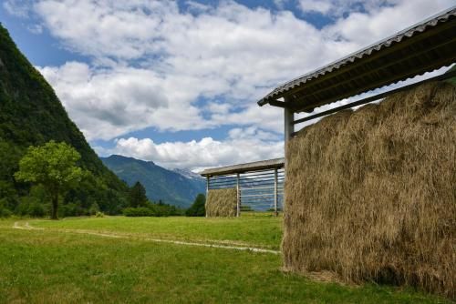 Outdoor Pictures 20