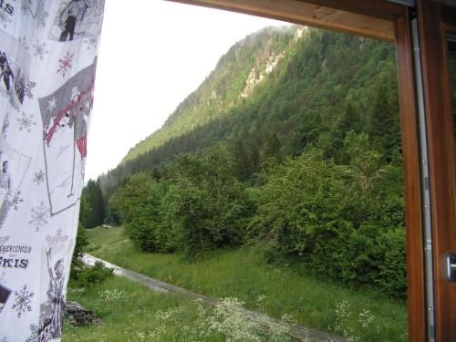 Outdoor Pictures 8