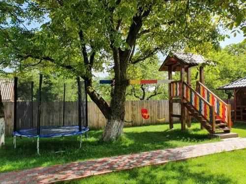 Outdoor Pictures 6