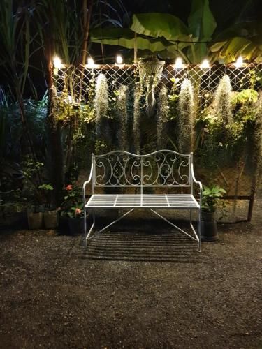 Outdoor Pictures 14