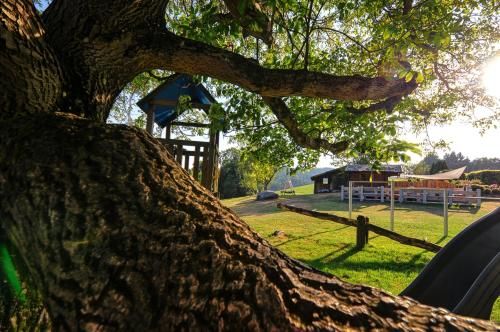 Outdoor Pictures 8