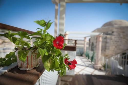 Outdoor Pictures 21