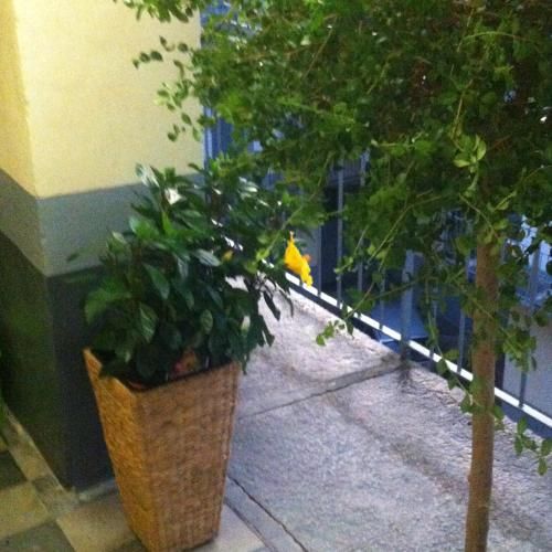 Outdoor Pictures 10