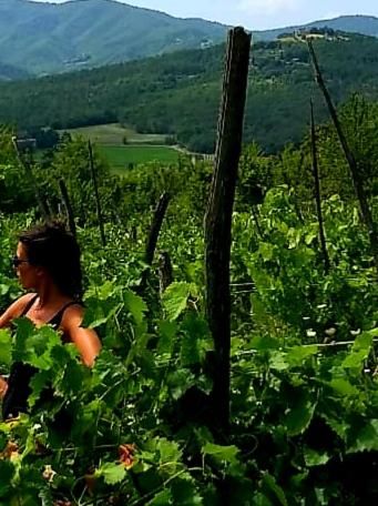 Outdoor Pictures 12