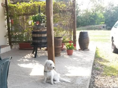 Outdoor Pictures 7