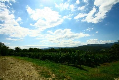 Outdoor Pictures 11