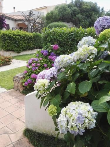Outdoor Pictures 10