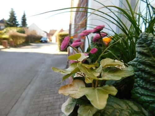 Outdoor Pictures 4