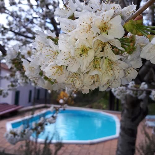 Outdoor Pictures 8