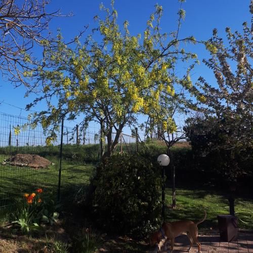 Outdoor Pictures 9