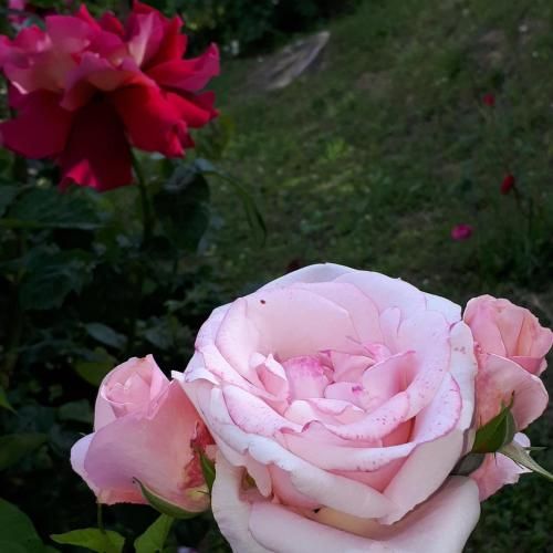 Outdoor Pictures 11