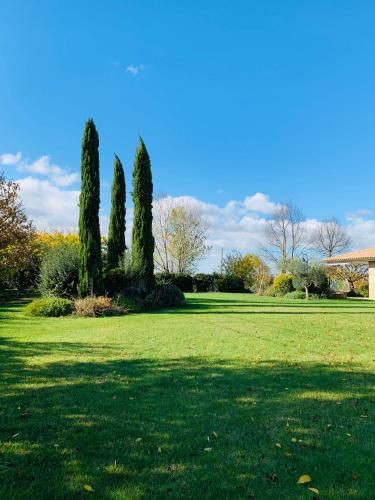 Outdoor Pictures 24