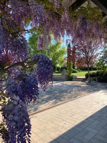 Outdoor Pictures 22