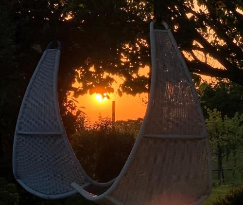 Outdoor Pictures 9