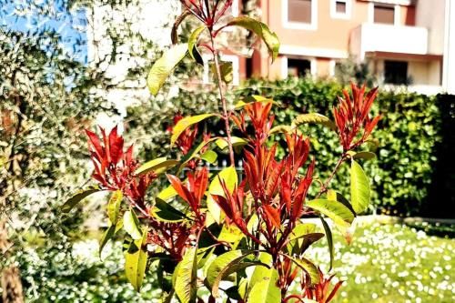 Outdoor Pictures 11