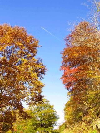 Outdoor Pictures 19