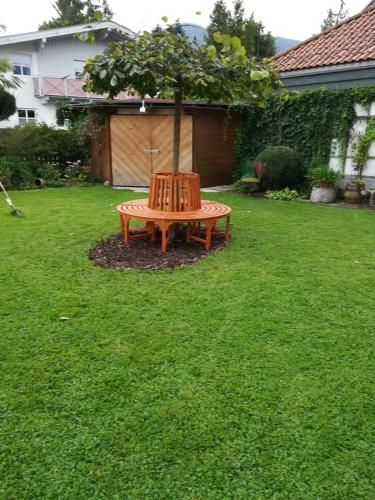 Outdoor Pictures 1