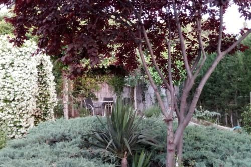 Outdoor Pictures 12