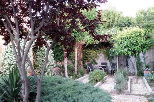 Outdoor Pictures 23