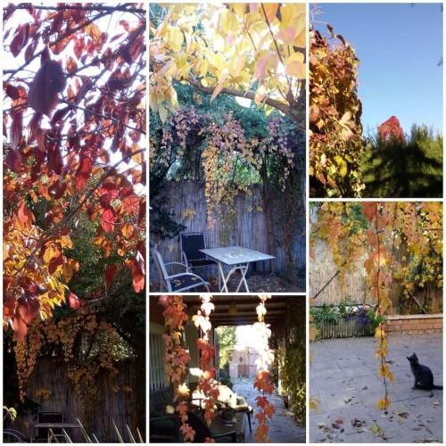 Outdoor Pictures 2