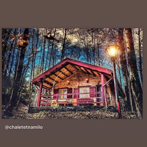 Outdoor Pictures 12