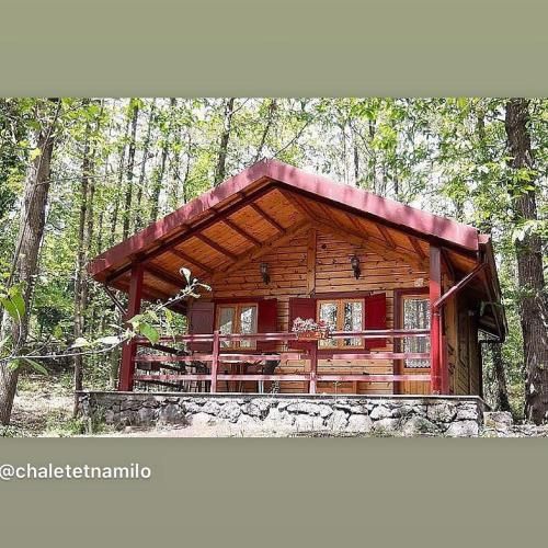 Outdoor Pictures 13