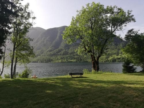 Outdoor Pictures 15