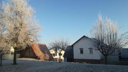 Outdoor Pictures 24