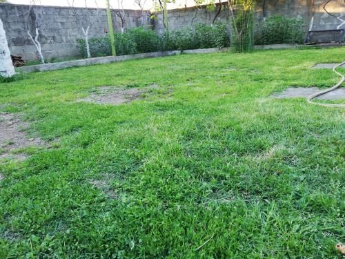 Outdoor Pictures 23