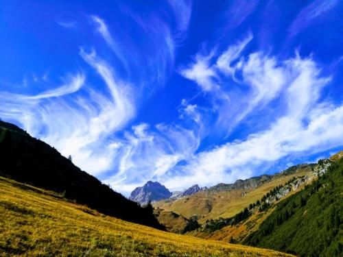 Outdoor Pictures 19