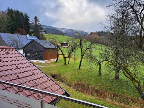Outdoor Pictures 21