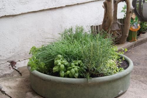 Outdoor Pictures 14