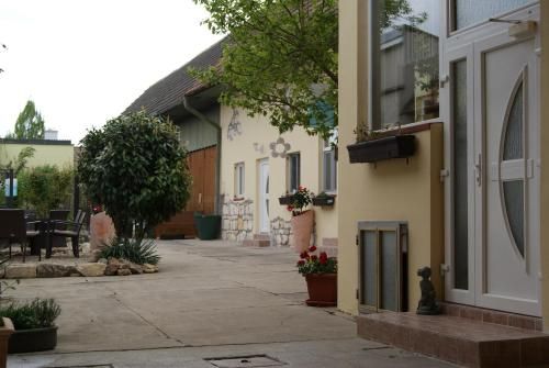 Outdoor Pictures 15