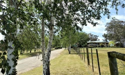 Outdoor Pictures 1