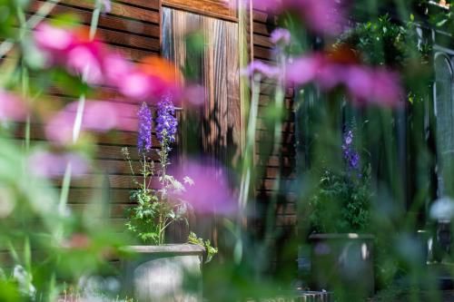 Outdoor Pictures 13