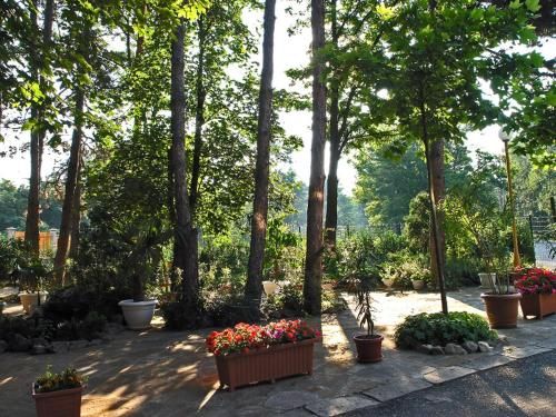 Outdoor Pictures 9